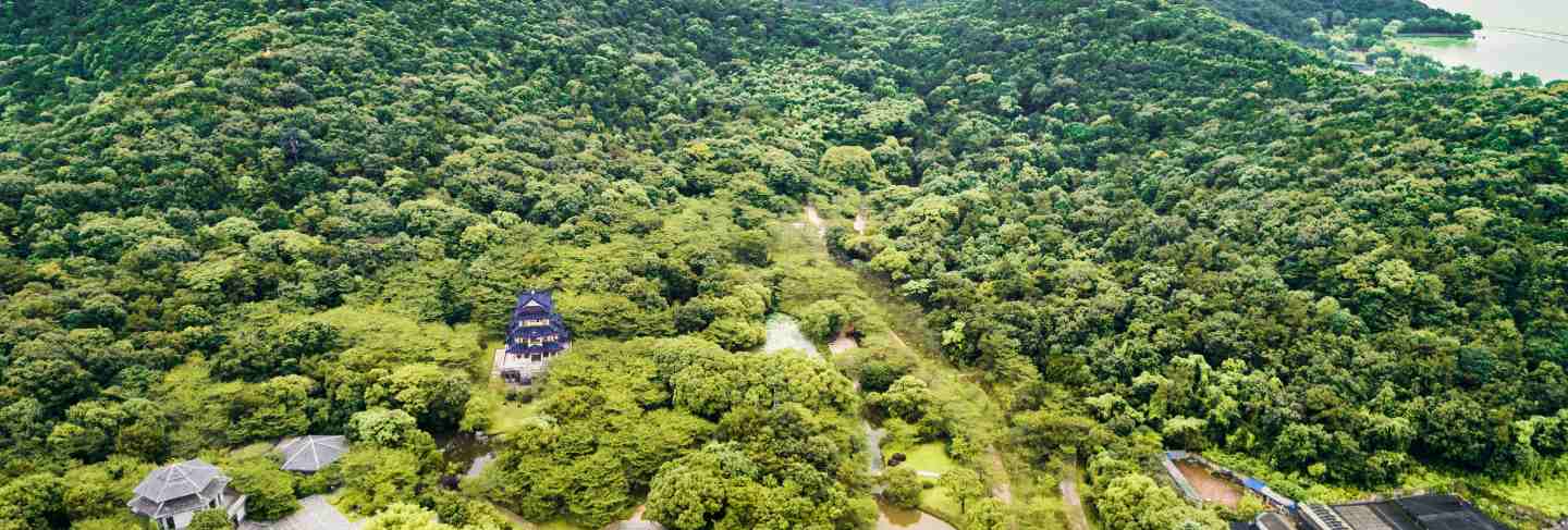 A resort in the middle of the forest
