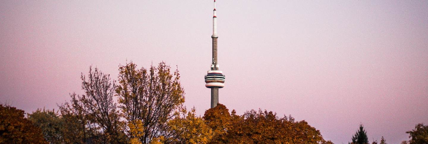 A forest with a tall beacon tower
