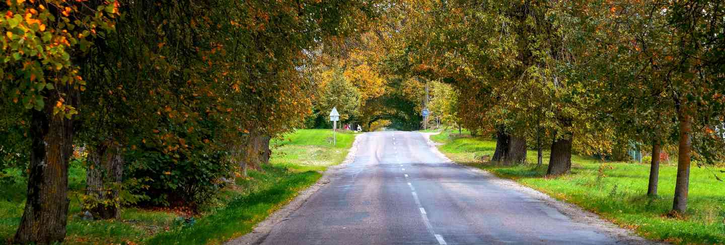 Autumn landscape. lonely rural road with deciduous alleys
