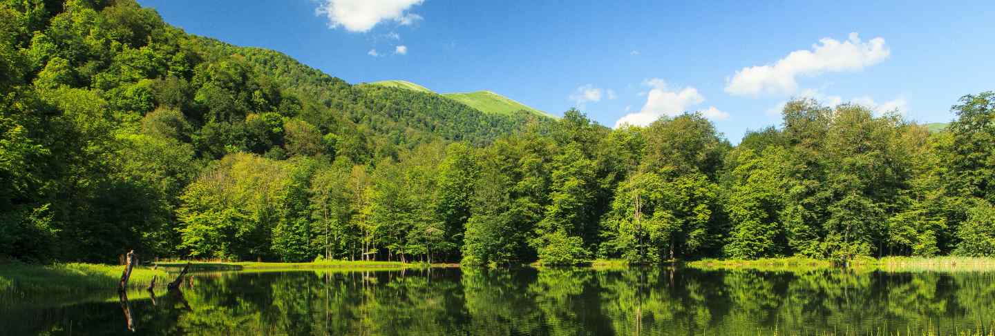 Beautiful the green scenery reflecting in the gosh lake, armenia
