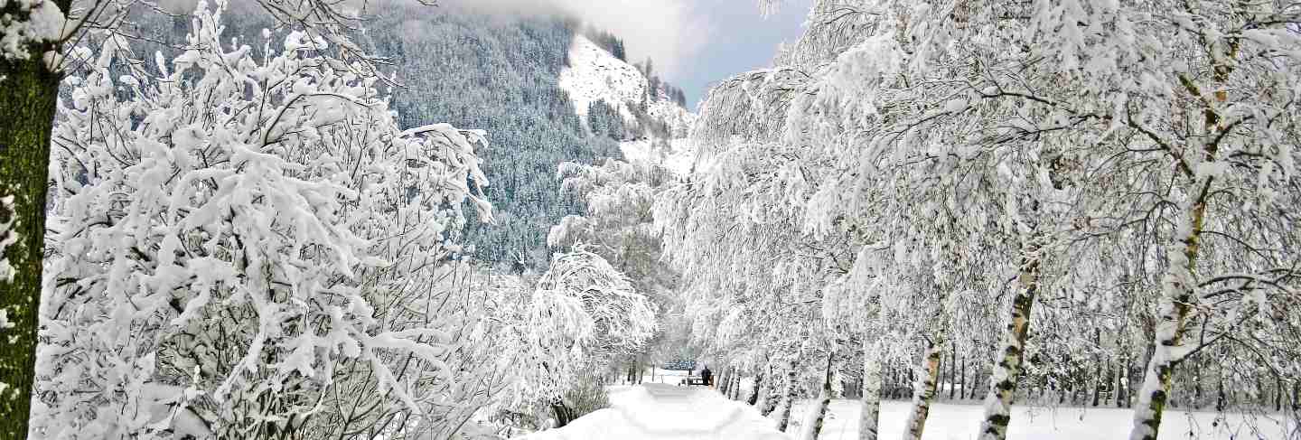 Winter landscape from austria
