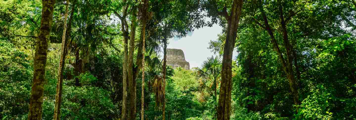 Tikal national park
